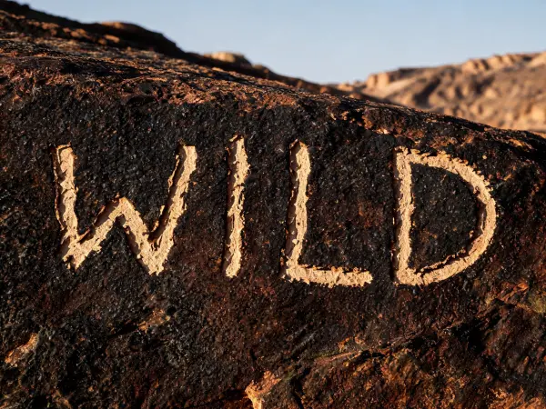 Petroglyph Scratched lettering example