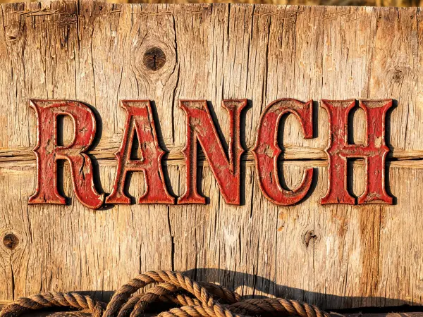 Exemple de lettrage Bois western